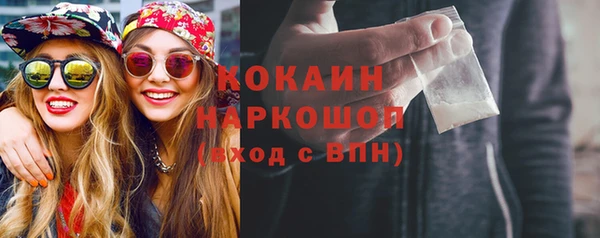тгк Дмитровск