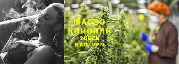 тгк Дмитровск