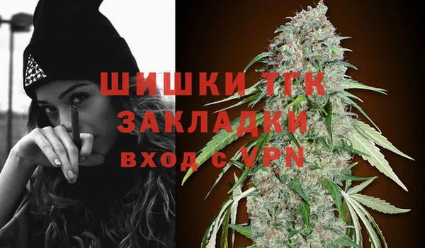 шишки Ачинск