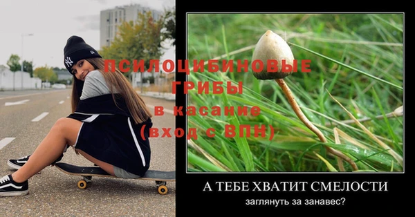 тгк Дмитровск