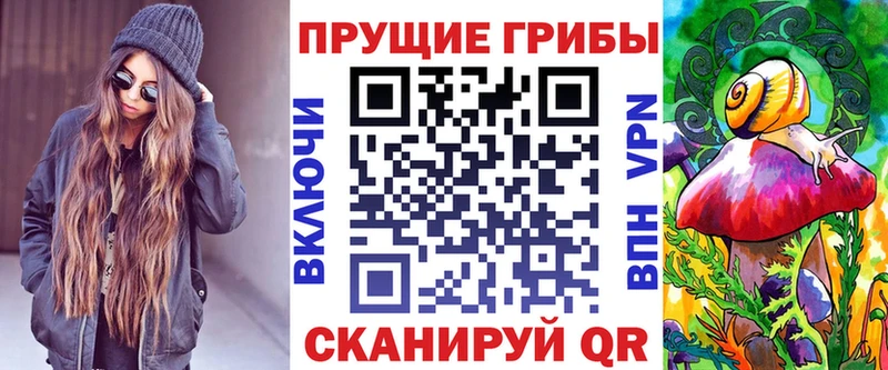 Псилоцибиновые грибы Cubensis  блэк спрут сайт  Жирновск  наркотики 